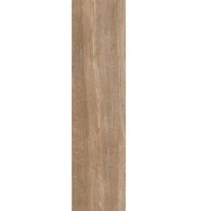 jumbo oro (copy)