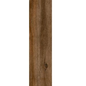 jumbo oro (copy)